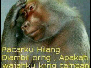 rofendy_26's profile picture. 