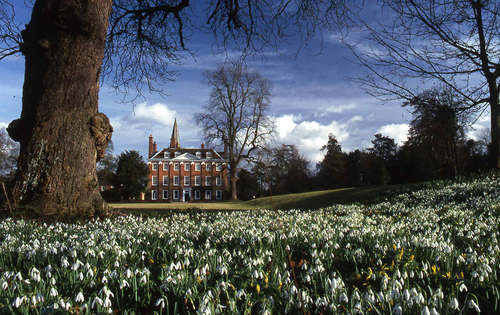 We are the private home of the Puxley family. We open the grounds for the display of snowdrops in the beech woods for the month of February.