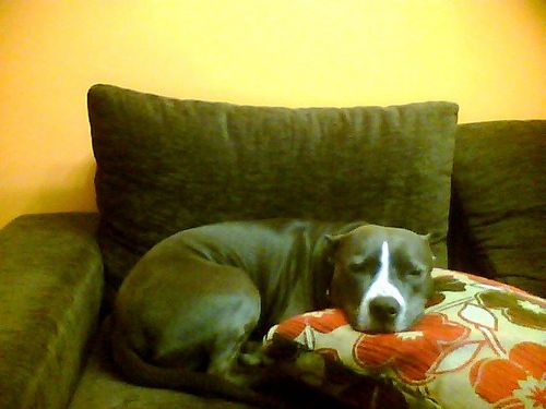 jordix1996's profile picture. 