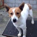 Terry McDonnell - @TerMcDonnell22 - Twitter