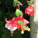 Sandy Bump - @SBump1 - Twitter