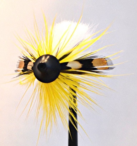 littelton911's profile picture. Fly fisherman, fly tier and lover of my wife, pets, water and fish.