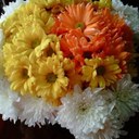 Stephanie Simons - @stephpaul2009 - Twitter