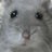 kamchatka0lily's profile image