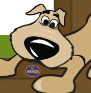 Wholesome Animal Grocery Store in Avon is ready to help you find the best, most nutritious food for your dog or cat. Call: 860-675-4564.