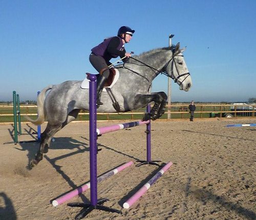 I am an aspiring event rider on the long road to becoming a professional. Share in the trials & tribulations of owning & competing horses in this lovely sport!