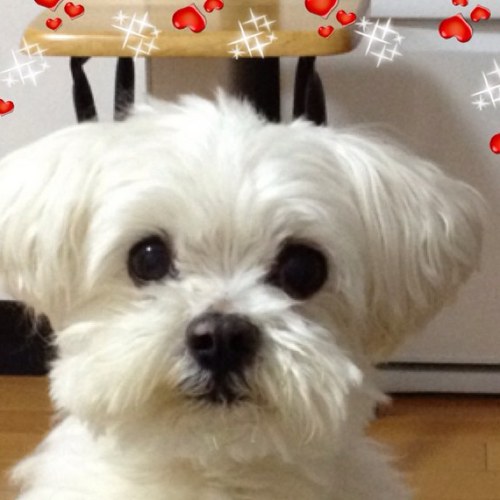 071310250909's profile picture. 