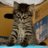 tall_mizu