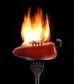 The Original Hot & Spicy Food Company- SInce 1989