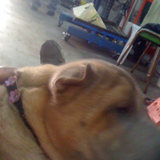 cristiandarg's profile picture. 