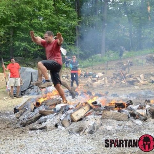 nschafler's profile picture. hey you kids - get off my lawn!