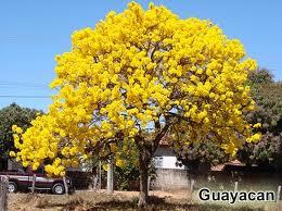 norma_dra's profile picture. 