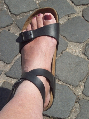 writer, traveler, teacher