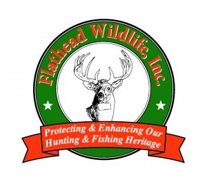 FlatheadWldlife's profile picture. Flathead Wildlife, Inc., is a fish and wildlife sportsman group.We have been involved in conservation of wildlife and wildlife habitat for over 60 years.