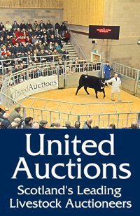 United Auctions, Scotland's leading livestock auctioneers & procurement specialists. Operating a network of auction marts across Scotland.