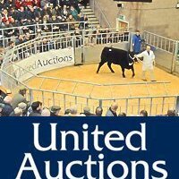 United Auctions(@unitedauctions) 's Twitter Profileg
