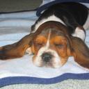 Nichole Lopez - @njlopez - Twitter