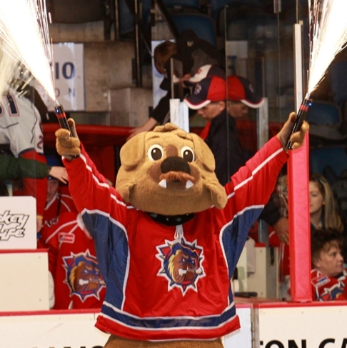 Hamilton Bulldogs Mascot.  Hockey lover.  Proud Hamiltonian.