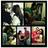 Erikaa23xo's profile image