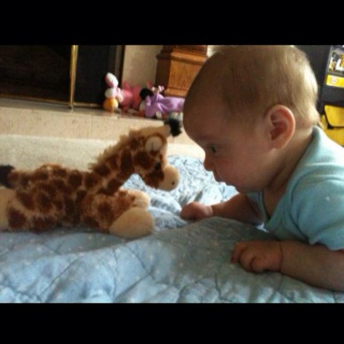 ToxicRob's profile picture. i do work and such