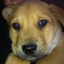 Heather Potter - @moogie99 - Twitter