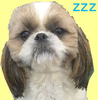 Cycling fan, favorite rider: Roger Hammond, love cyclocross in winter
お前の人生はもう終わっている。犬の人生が始まった。