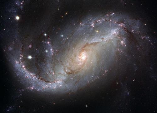 Explorer of the multiverse