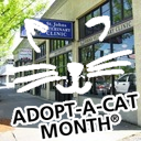 StJsVeterinary's profile picture. St. Johns Veterinary Clinic is a friendly full service companion animal hospital.  It is our goal to provide the best possible care for your pet.