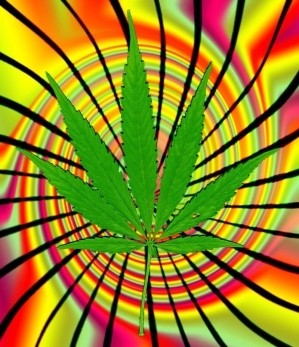 Profil: Pro legalization, pro medical marijuana and cannabis decriminalization and pot news.