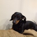 Winston spence - @Kingwinston2 - Twitter