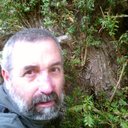 fernando almansa - @FernandoAlmansa - Twitter