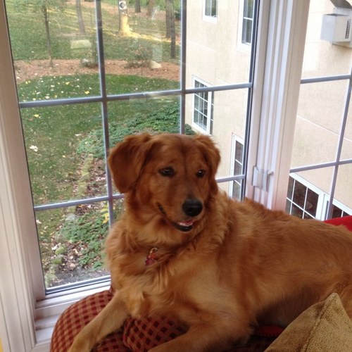 bethybsaley's profile picture. 