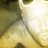 brina_uk's profile image