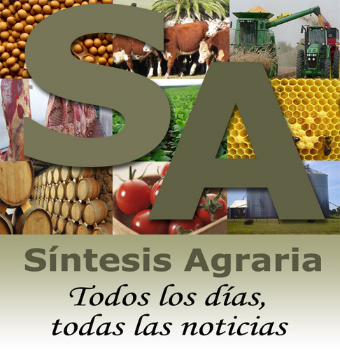 Servicio diario de clasificación de noticias Todas las noticias del sector agropecuarios ordenadas por tema, diario, ciudad, provincia. Comparativo entre medios