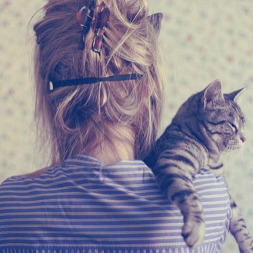 1DCraaazzzyyyy's profile picture. A whole crack-pot full of crazy…