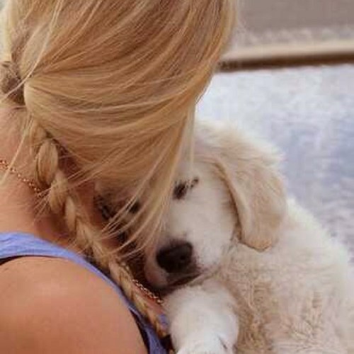 PuberTienerFact's profile picture. ~ Hey leuk dat je op ons account kijkt! ☺ Wij plaatsen alleen maar goede en leuke tweets en geen promoties! Okee genoeg verteld, volg ons maar gewoon! ♥ ~