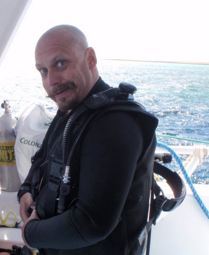 plingplongen's profile picture. 