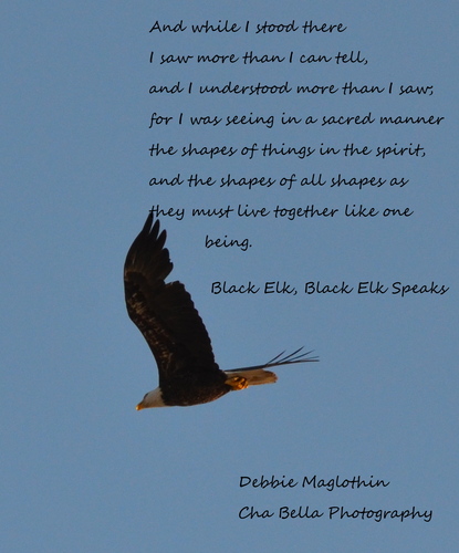 Seeing Nature in a Different Light. 
Please also follow us at
@DebbieM905
http://t.co/Xf4axr7OGk (DebbieM905)
http://t.co/DLU4ok0iAW (Cha BellaPhotography)