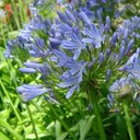 Jane Bremner - @JaneBremner2 - Twitter