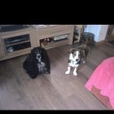 Edith Kelly - @Ecbkelly - Twitter