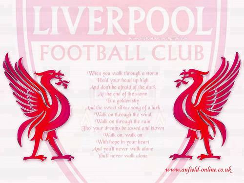 LFCtilidie1's profile picture. love liverpool fc, good bye kenny hello brendan. @LFC RT me follow and i will follow back.... Y.N.W.A ( apart from to the toilet )   this is a fans account :)