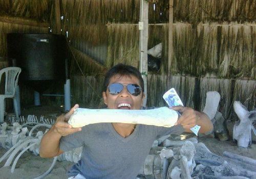 negrogonzalez91's profile picture. #ESPOL