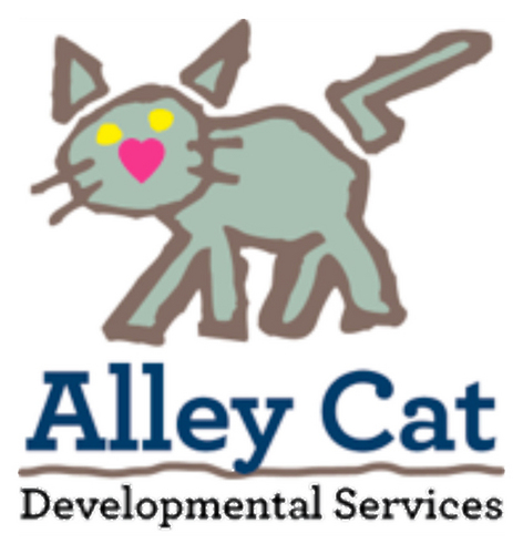 Early Intervention provider