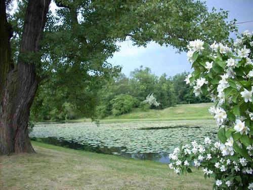 DrillYourPolish's profile picture. 