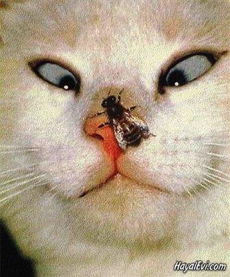 Grkm45's profile picture. Kızgın kumlardan serin sulara