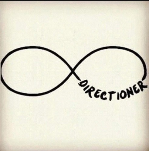 °•Trying to bring all directioners together to stop bulling  and hate on directioners and the boys•°