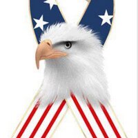 Stolen Valor (@stolenvalor1) 's Twitter Profile Photo Stolen Valor (@stolenvalor1) 's Twitter Profile Photo