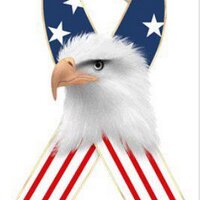 Stolen Valor(@StolenValor1) 's Twitter Profile Photo