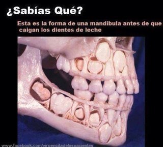 travisnajar's profile picture. 