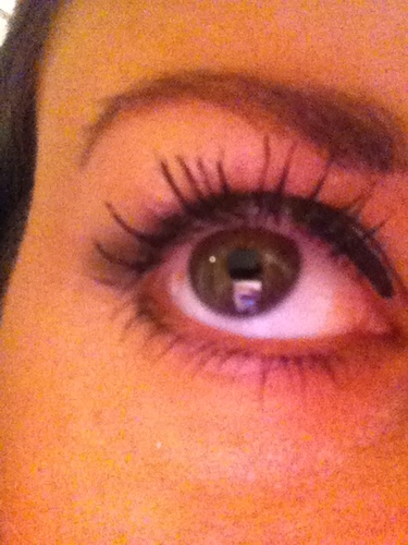 NicoleCapece's profile picture. 